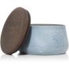 image:imageYankee Candle Sparkling Lemongrass Large Outdoor Candle