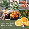 image:imageYankee Candle Concentrated Room Spray Air Freshener Instant Home Fragrance Odor Eliminating Spray Iced Berry Lemonade Pack of 3Sage  Citrus