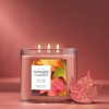 image:imageJar Candle 3 Wick