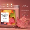 image:imageJar Candle 3 Wick